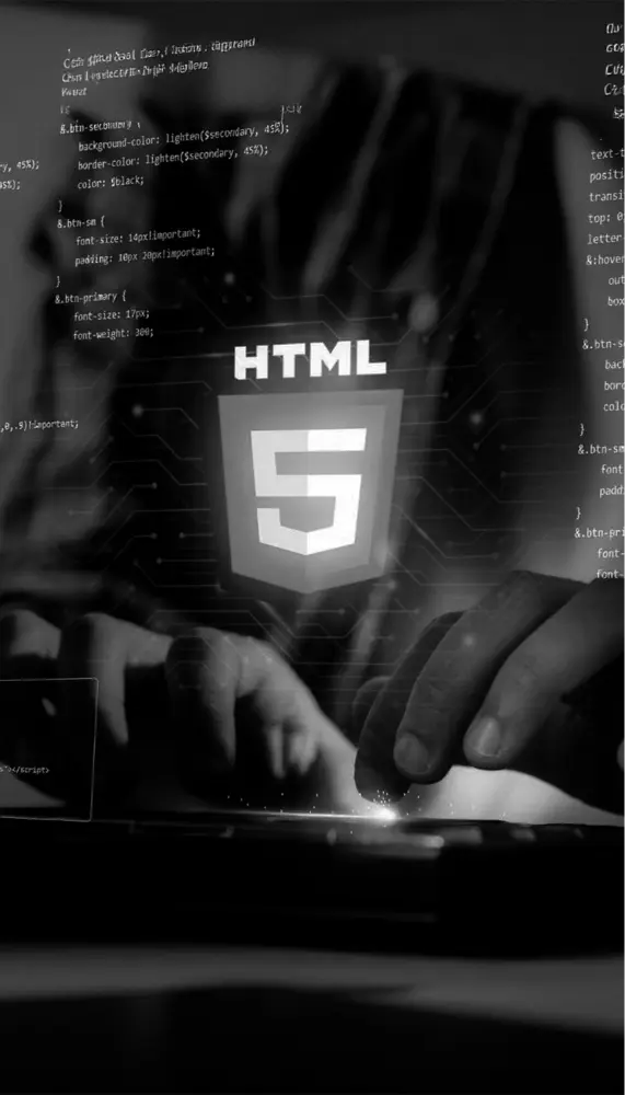 Website Development